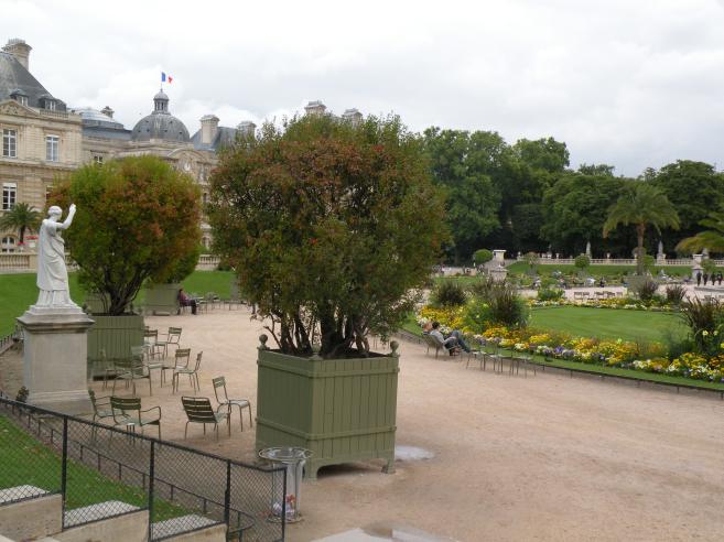  arbustes dans des caissons en bois, Luxembourg